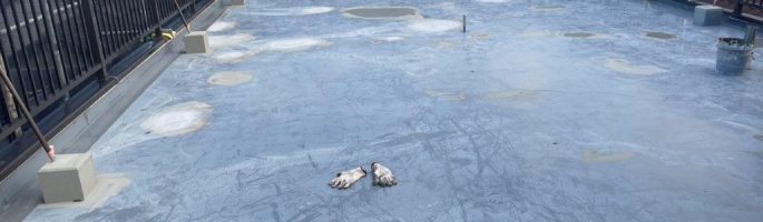 屋上の防水工事に伴う下地処理｜千葉県八千代市のK様邸にて塗り替え塗装中